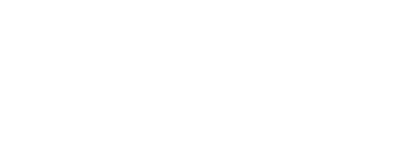 Aillio Bullet